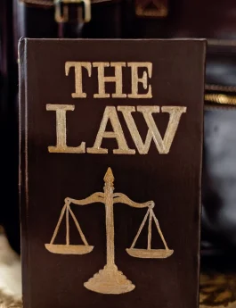 pexels-photo-8731039 (1)